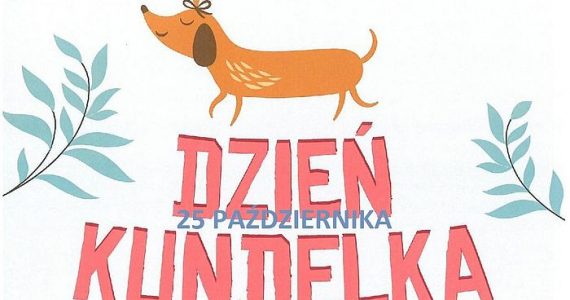 Dzień Kundelka – październik miesiącem dobroci dla zwierząt