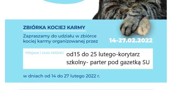 Światowy Dzień Kota – zbiórka karmy