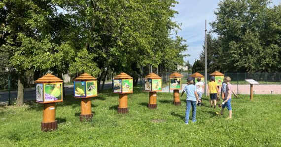 Ścieżka edukacyjna